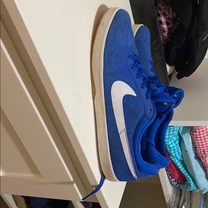 Nike Eric Koston Skateboard shoes